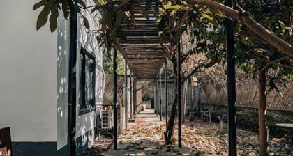 Henggang International Art Village, Wuzhen