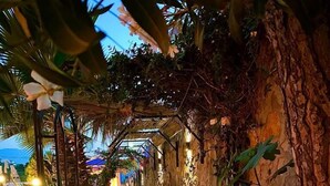 Un sendero bordeado por macetas con plantas, una cerca verde y un muro de piedra.