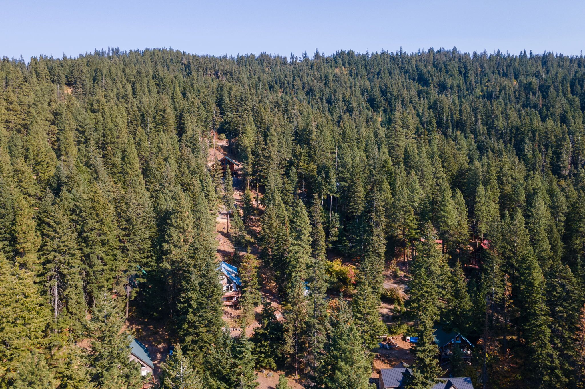 A forested mountain area with several cabins and a small road.