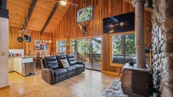 Smart TV, fireplace, books