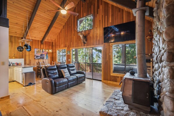 Smart TV, fireplace, books