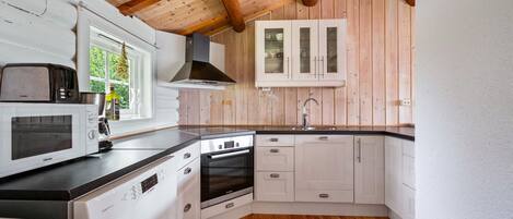 KĂŒhlschrank, Ofen, Herdplatte, GeschirrspĂŒler