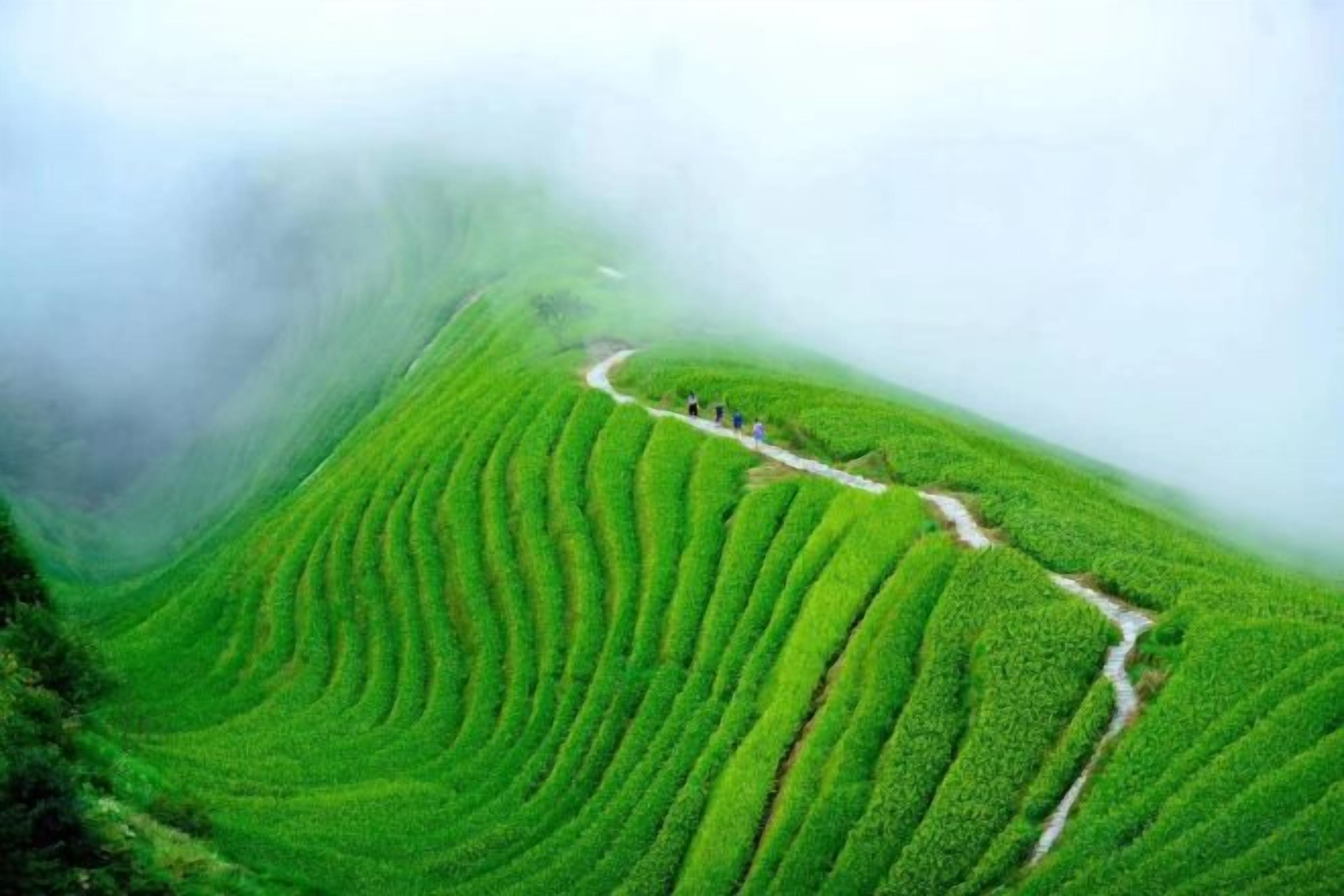 A terraced landscape with a winding path.