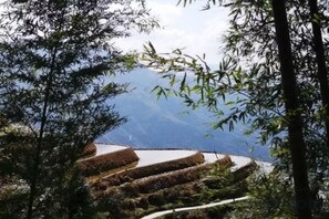 Unclassified image, 3 of 84, button - Longji Rice Terraces Weila Homestay (Longsheng)
