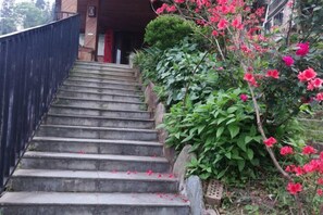 A set of stone steps leading up to a building entrance, surrounded by lush greenery and flowering plants. - Longji Rice Terraces Weila Homestay (Longsheng)