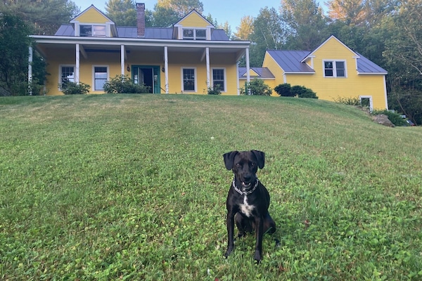 The House (and Scout)