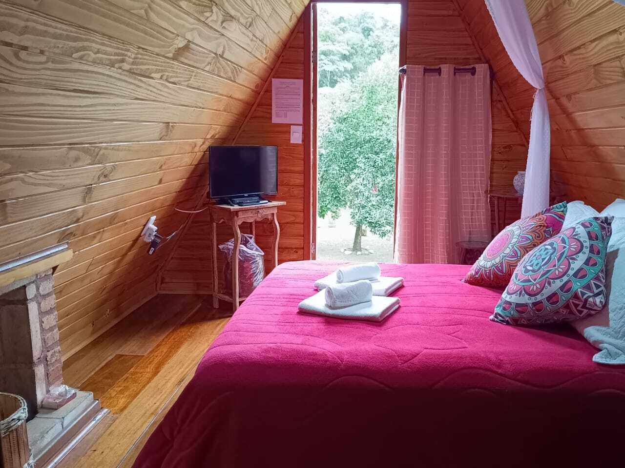 Una habitación acogedora con paredes de madera, una cama con colcha roja, un televisor sobre una mesita y vistas a la vegetación exterior.