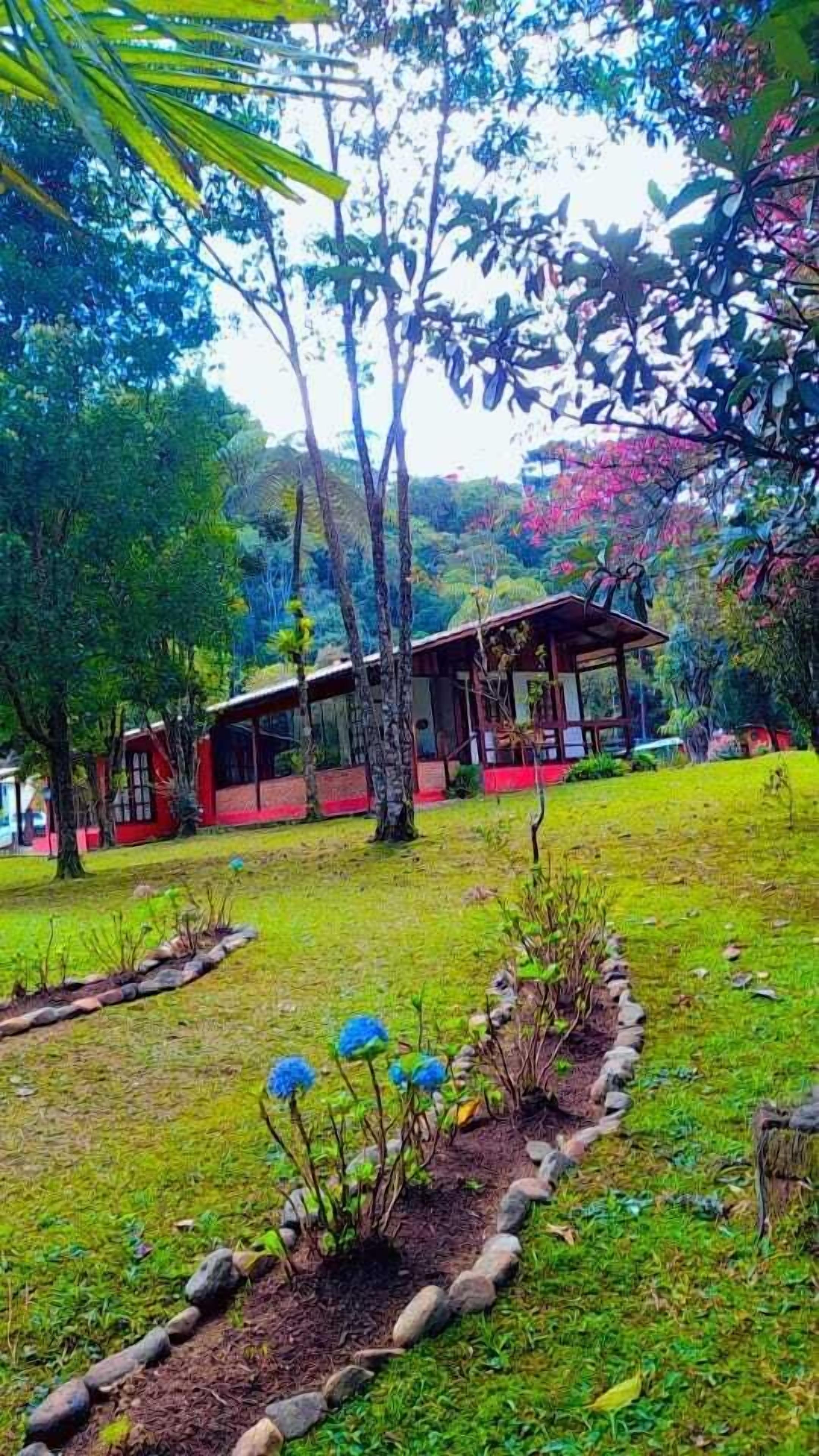 A garden with a wooden structure, surrounded by trees and a stone pathway.