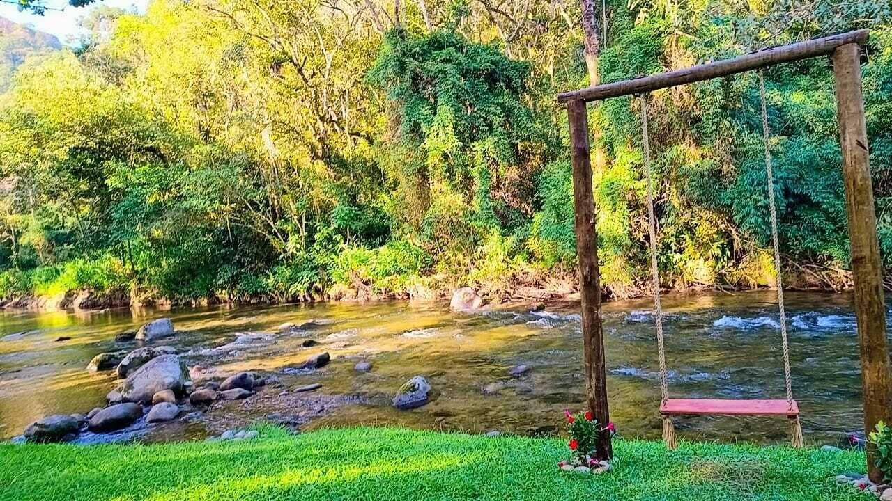 A river with rocks and a swing in a lush green area.