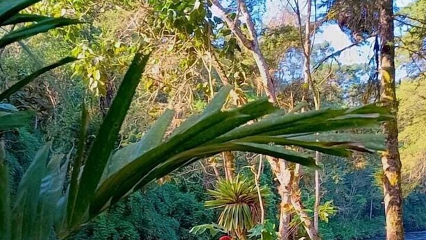 Un parco lungo il fiume con una panchina di legno, un tavolo da picnic e sedie.