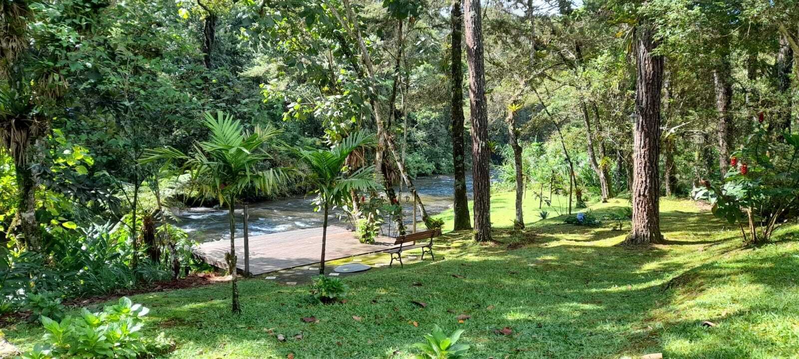 A lush garden with a wooden deck, a bench, and a small stream.