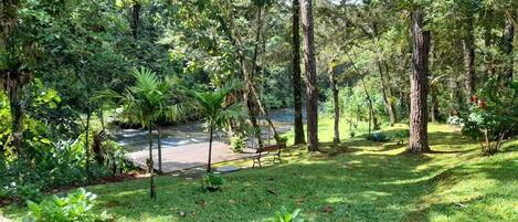 A lush garden with a wooden deck, a bench, and a small stream.