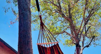 New City Loft Cozy With Backyard Unit C