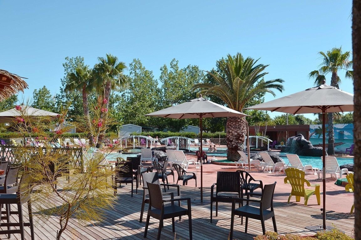 A poolside area with lounge chairs and umbrellas, surrounded by palm trees and a clear sky.