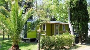 Une petite cabane verte, de plain-pied, dotée d’une véranda et entourée d’une végétation luxuriante et d’arbres.