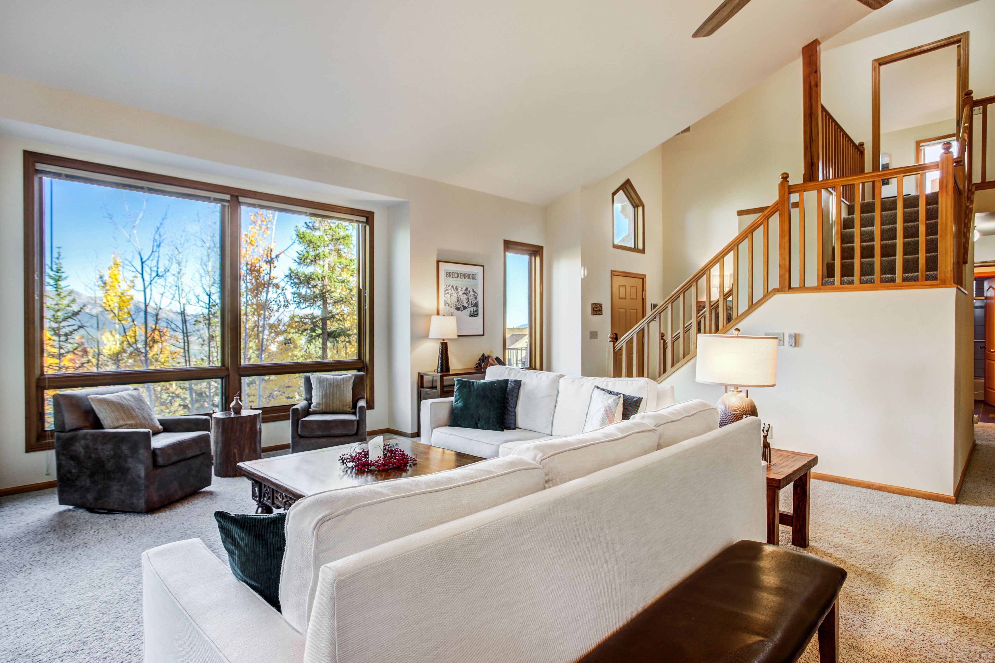 Televisión, chimenea, videojuegos y libros 