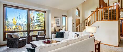 TV, fireplace, video games, books