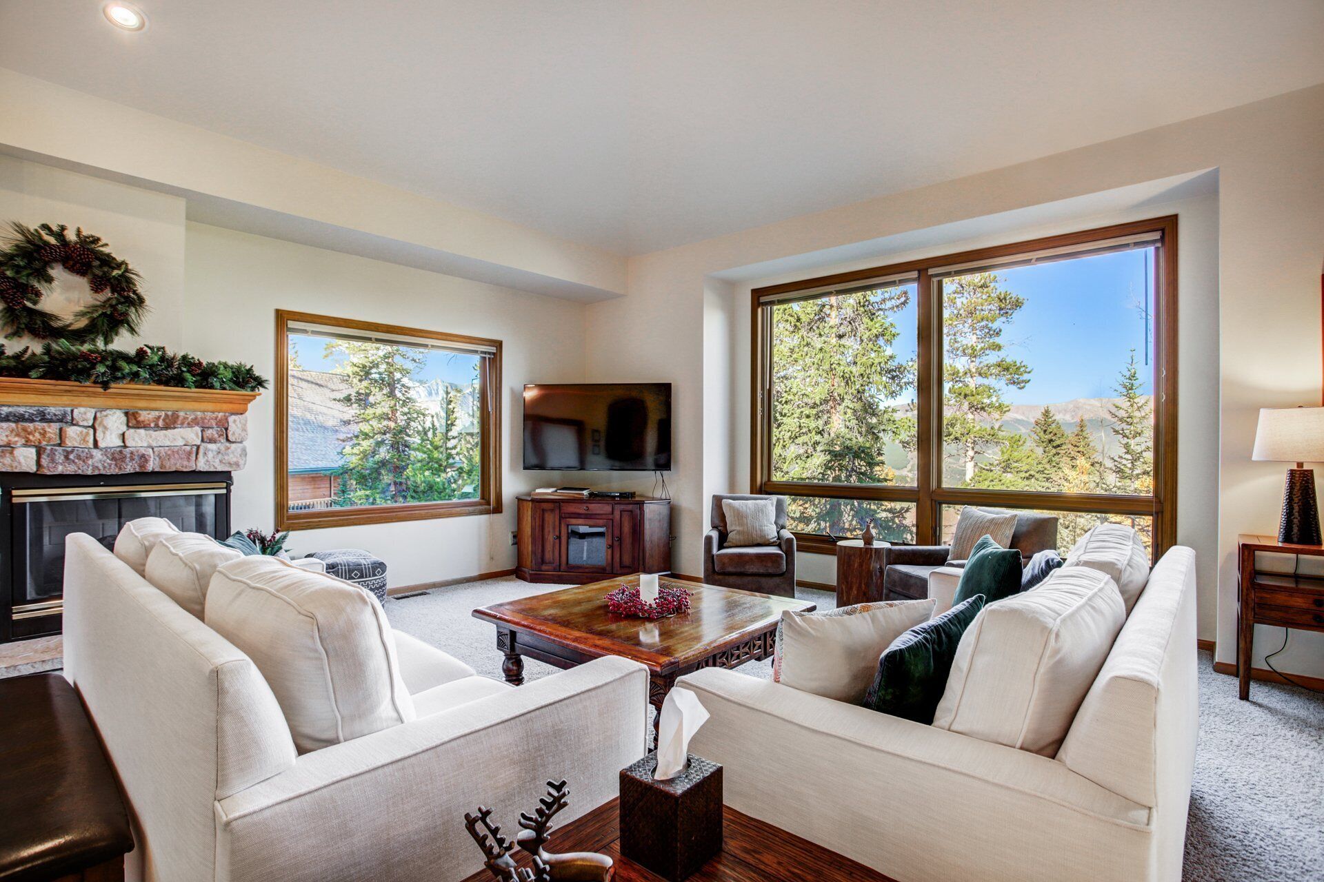 Televisión, chimenea, videojuegos y libros 