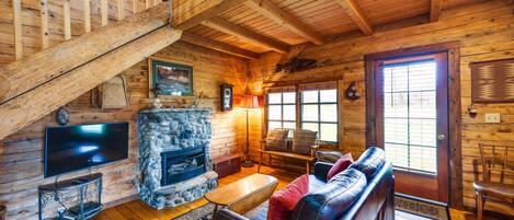 TV, fireplace, DVD player, books