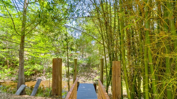 Een houten brug in een bebost gebied met bamboe en ander groen.