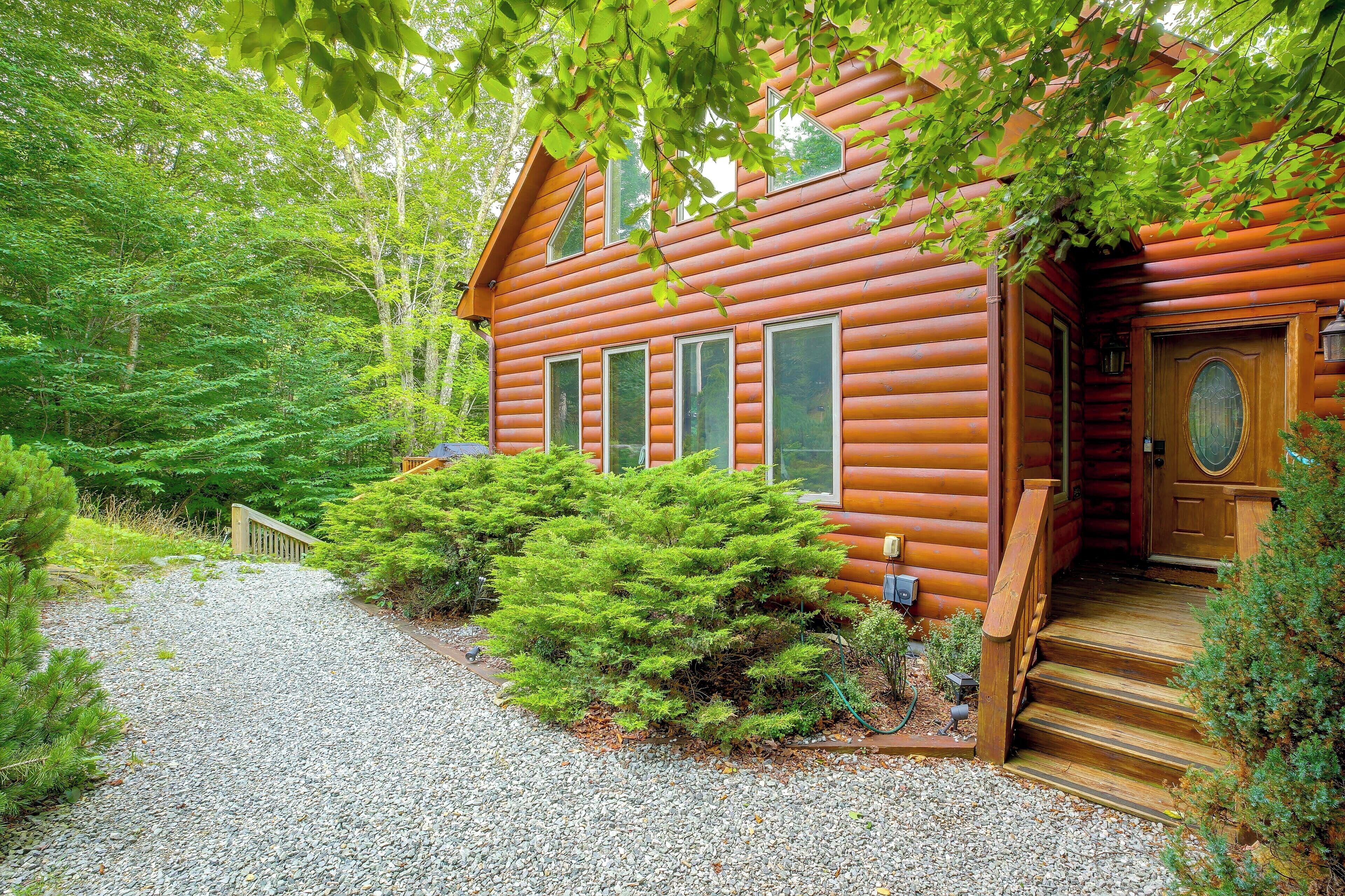A log cabin with a gravel driveway, surrounded by dense greenery and trees.