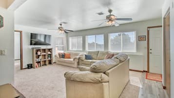 TV, fireplace, DVD player, books