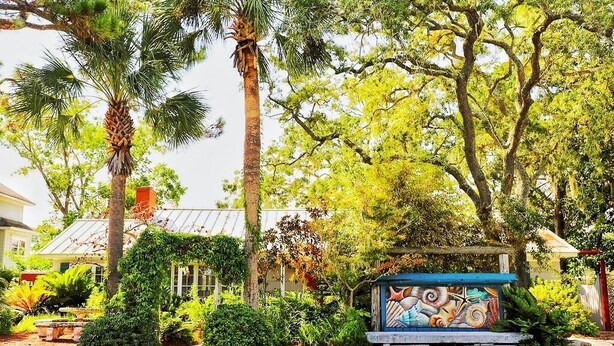 A garden with a palm tree, a mural, and a house with a metal roof. - Creekside Paradise • Sunsets, Pool, Spa, Dock, Kayaks (Tybee Island)