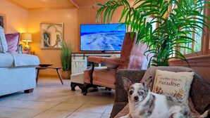A cozy living room with a dog on a plush ottoman, a television, and a large plant. - Creekside Paradise • Sunsets, Pool, Spa, Dock, Kayaks (Tybee Island)