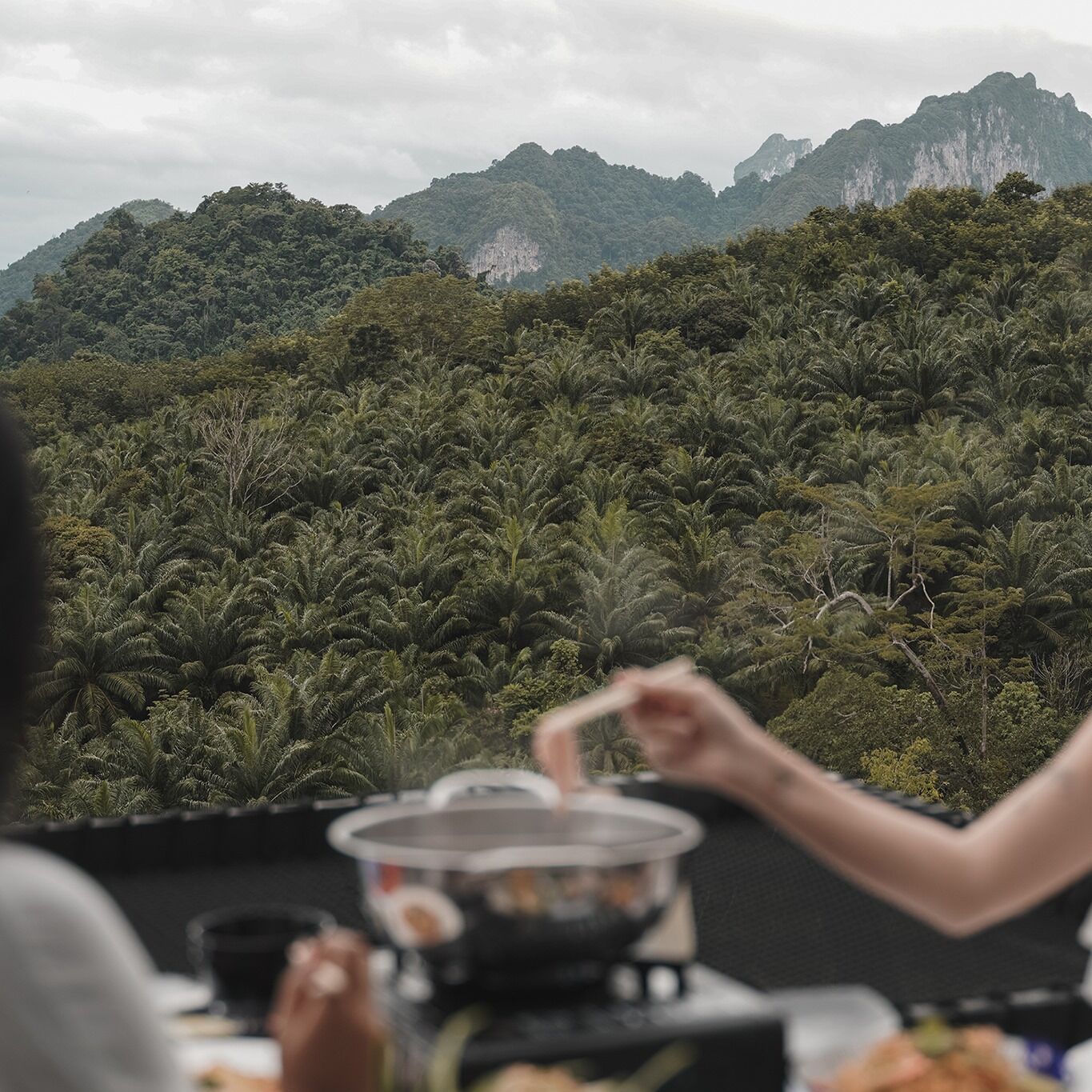 A dining table with a pot and a person stirring, set against a backdrop of dense green forest and mountains.
