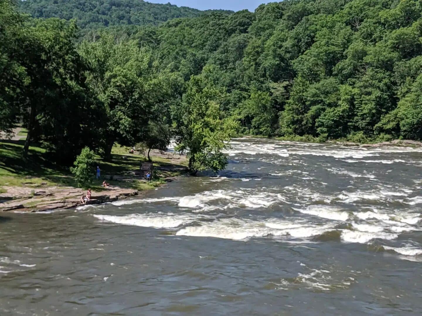 A river with white water rapids, surrounded by dense green forest and hills.
