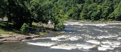 A river with white water rapids, surrounded by dense green forest and hills.