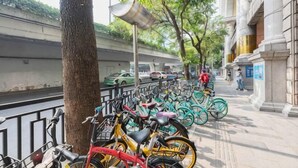 Una fila de bicicletas estacionadas a lo largo de una acera junto a un edificio de arquitectura clásica.