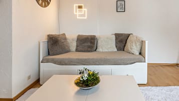 Fernseher, Stereoanlage