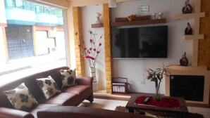 A living room with a brown sofa, a flat-screen TV, a fireplace, and a window with a view of buildings.
