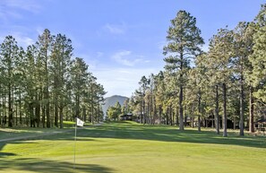 A golf course with a flagstick, surrounded by tall pine trees and a mountain in the background.