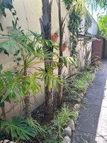 客房, 1 间卧室, 无障碍, 吸烟房 | 住宿场地