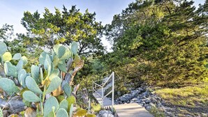 A concrete pathway leading to a metal staircase surrounded by cacti and trees.