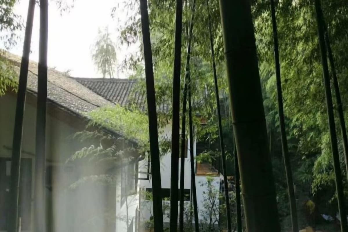 A traditional building with a tiled roof, surrounded by tall bamboo trees.