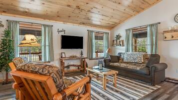 Televisio, videopelejä, DVD-soitin, kirjoja