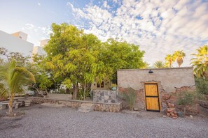 A courtyard with a stone wall, a wooden door, and a variety of trees including palm trees.