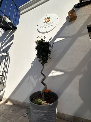 تفاصيل الفندق من الخارج