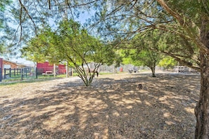 A park with trees, a picnic table, and a fenced area. - Near Lakes & Parks: Lady Lake Farm Getaway (Lady Lake)