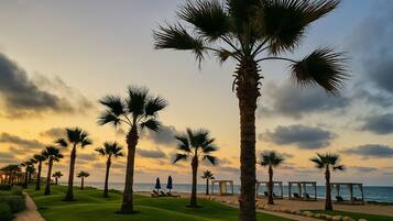 A beachfront setting with palm trees, a pathway, and beach chairs.