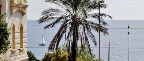 الإطلالة من المنشأة