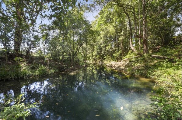 Creek - Swimming Hole (2)