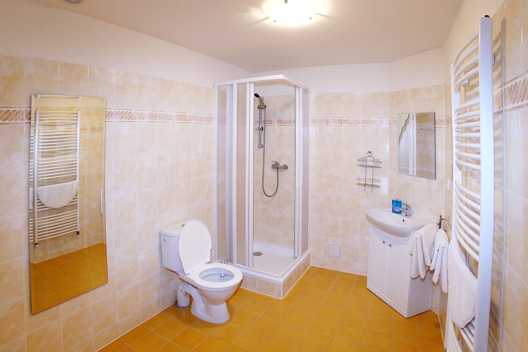 Baño con ducha, inodoro, lavamanos y toallero.