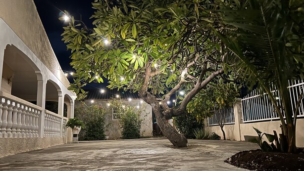 Un cortile con un albero, un edificio bianco con archi e luci decorative.