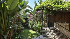A garden with a stone patio, a metal chair, and a staircase leading to a wooden wall. - Sublime 2 Pièces Avec Jardin (Villefranche-sur-Mer)