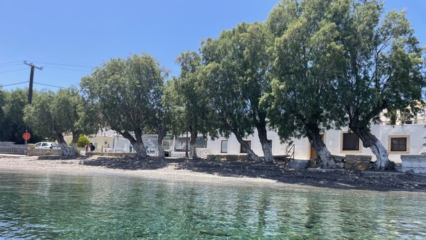 Propiedad frente al mar con aguas cristalinas, árboles y un edificio con amplias ventanas.