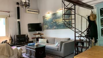 Smart TV, fireplace, DVD player, books